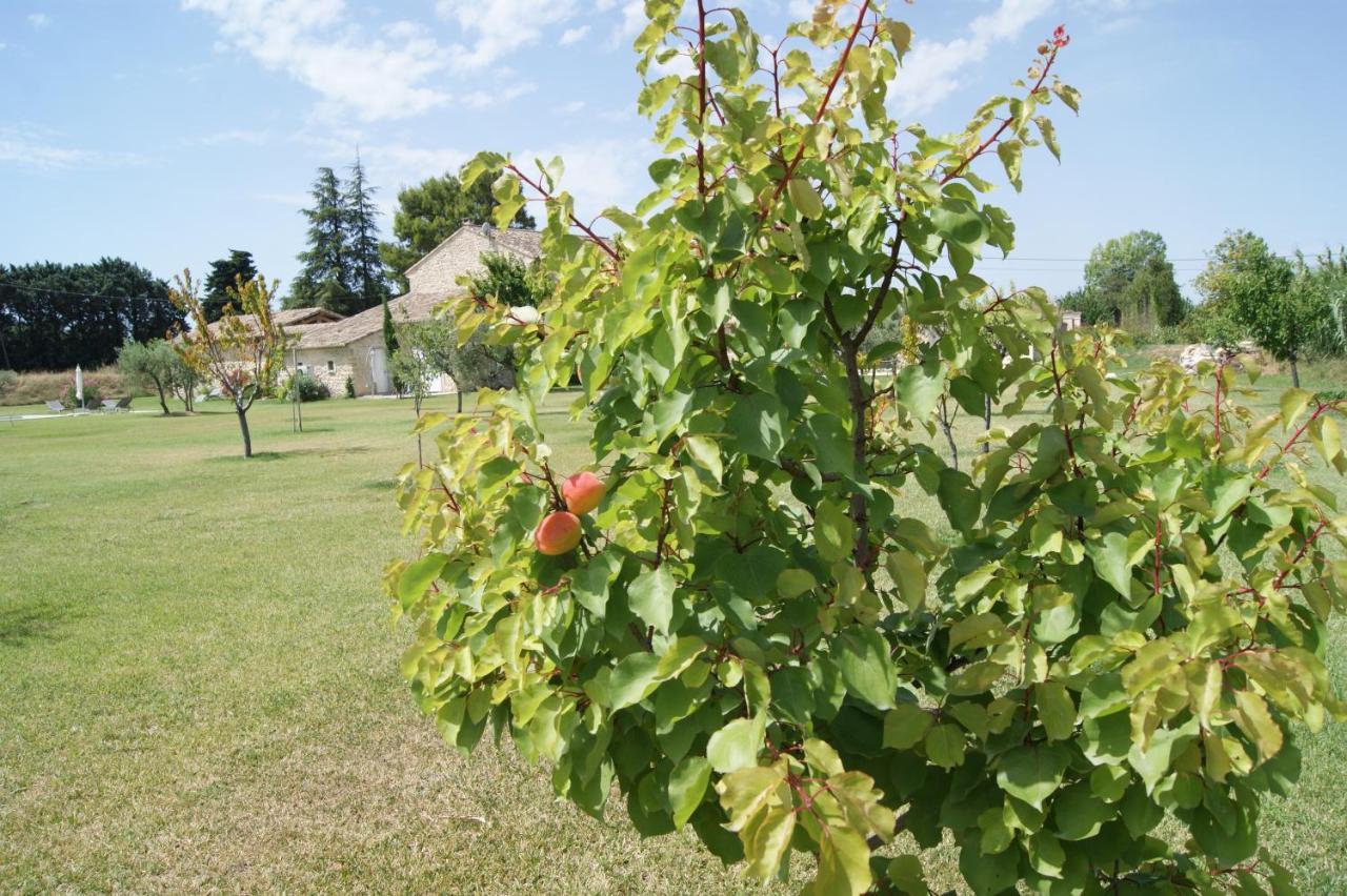 B&B Dans Mas En Pierres Robion en Luberon Kültér fotó