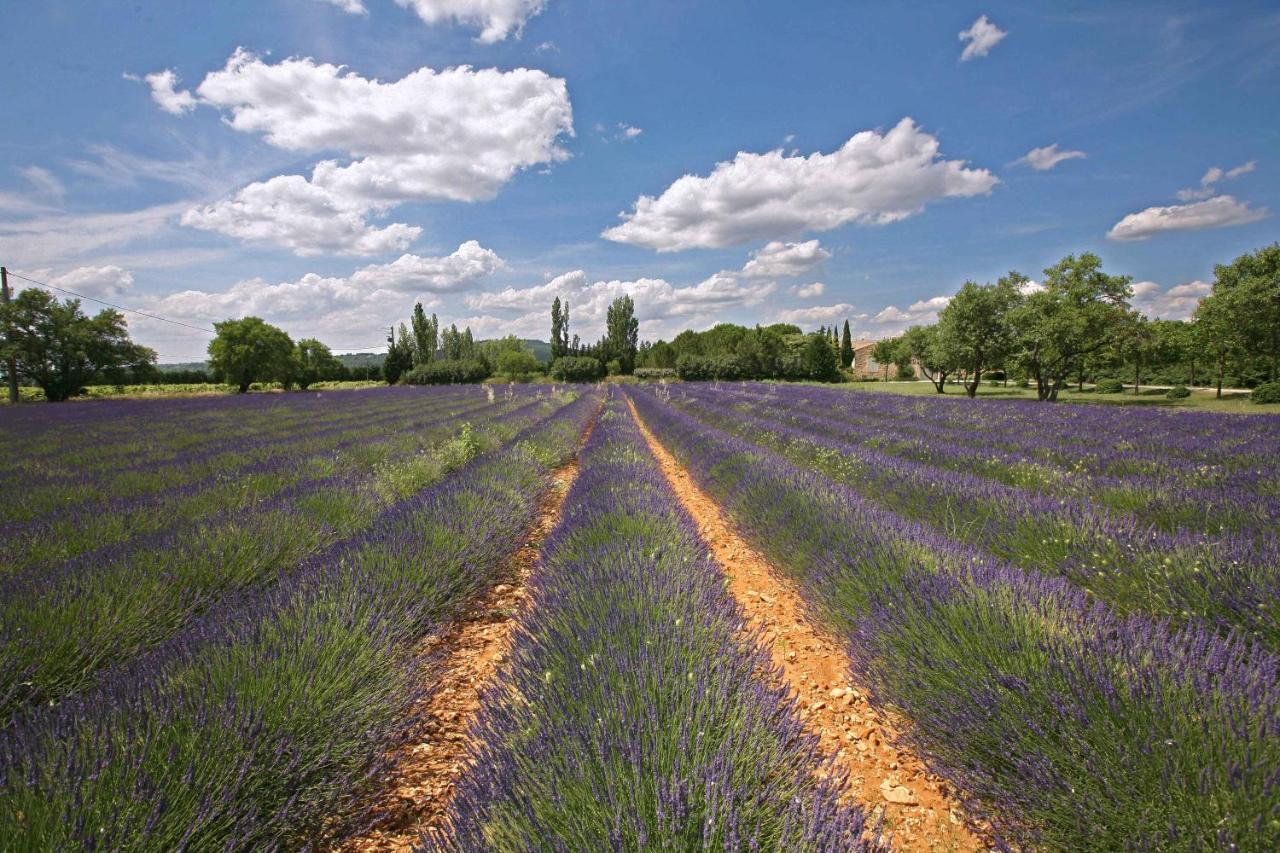 B&B Dans Mas En Pierres Robion en Luberon Kültér fotó